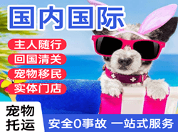 菏泽牡丹航空邮寄国际宠物托运 【国